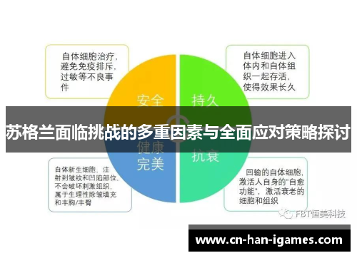 苏格兰面临挑战的多重因素与全面应对策略探讨 苏格兰面临挑战的多重因素与全面应对策略探讨